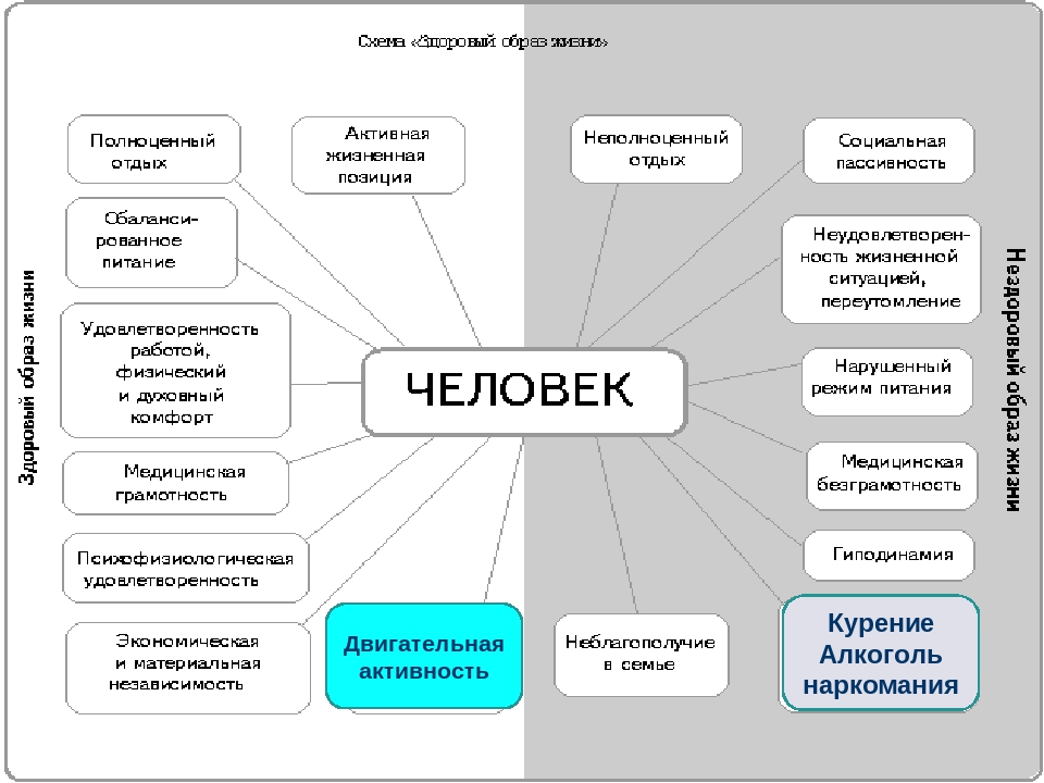 От чего зависит жизнь человека. Кластер здоровый образ жизни. Здоровый образ жизни в виде схемы. Таблица схема здоровый образ жизни и нездоровый. Зависит ли жизнь человека от других живых организмов.