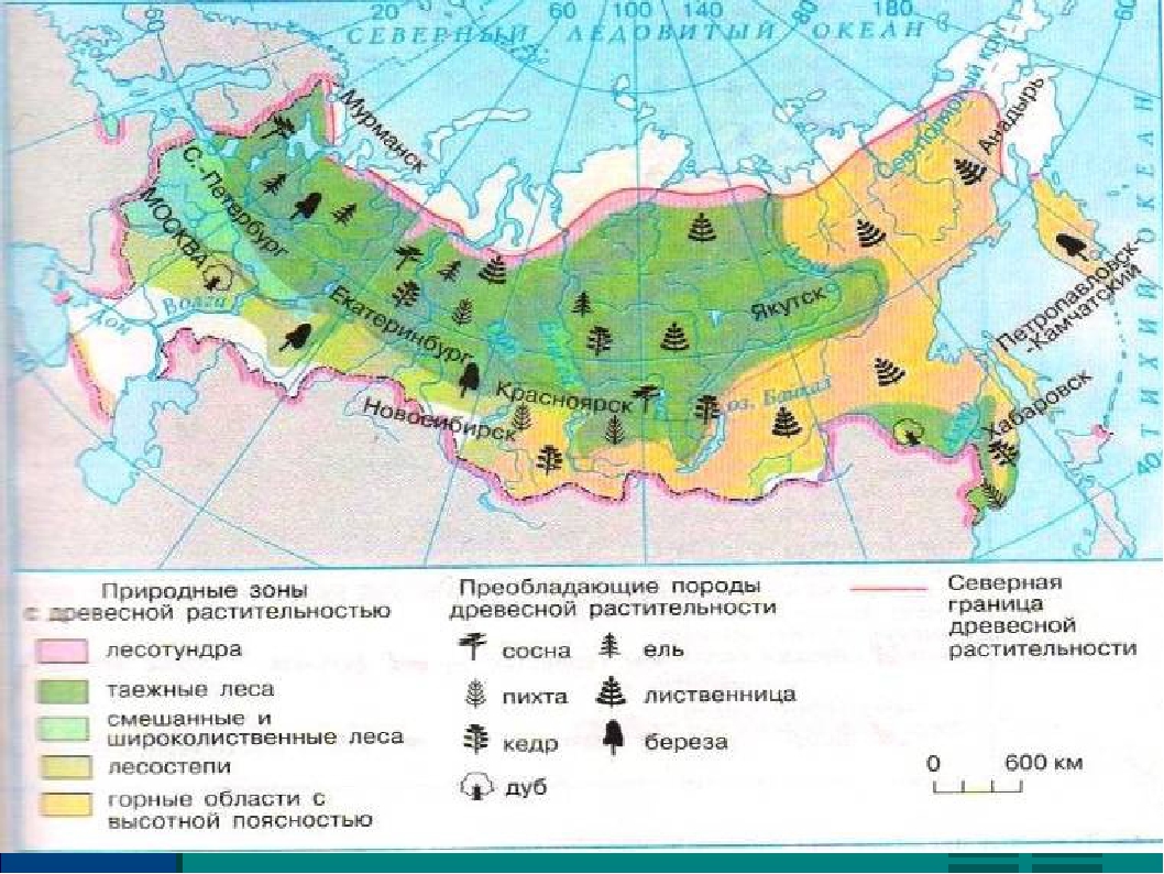 Карта природной зоны 4 класс окружающий. Лесная природная зона России на карте. Карта природных зон России 4 класс окружающий мир. Карта природных зон России карта природных зон России. Физическая карта России с природными зонами для 4 класса.