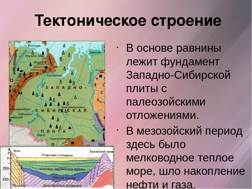 Средняя сибирь это урал. Тектоническое строение. Рельеф и тектоническое строение России. Что лежит в основе Западно-сибирской равнины. Рельеф Западно сибирской равнины.