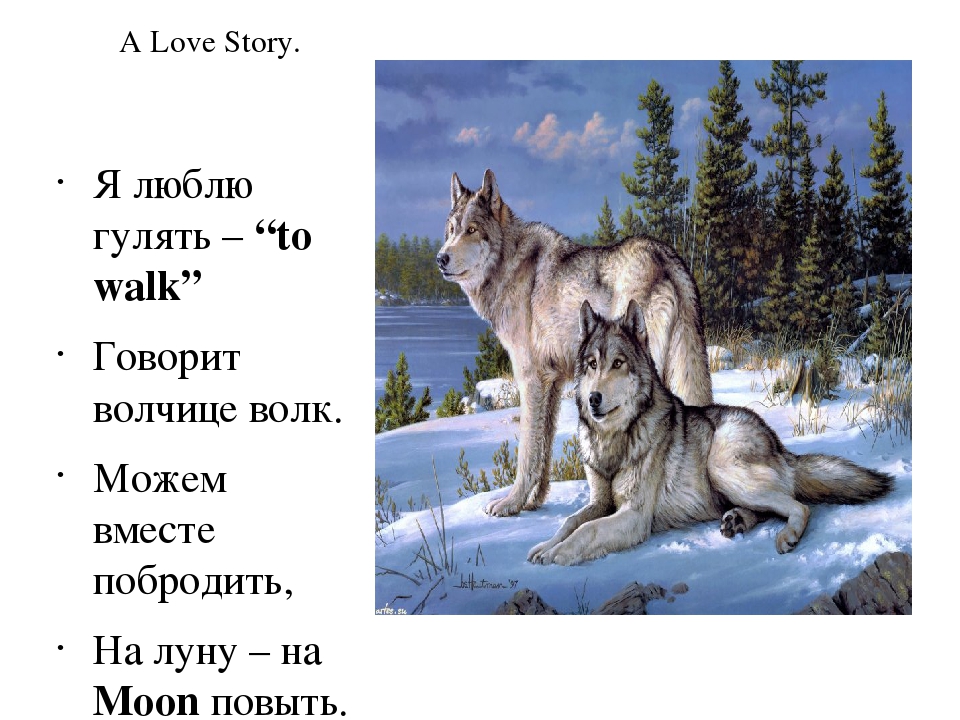 Волк поговори. Стихотворение про волка. Загадка про волка. Волк зимой. Детские стишки про волка.