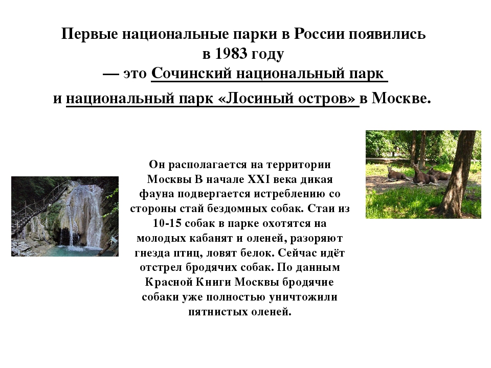 Описание парка. Заповедники и парки Ставропольского края. Национальный заповедник в Ставропольском крае. Национальный парк презентация. Национальные парки описание.