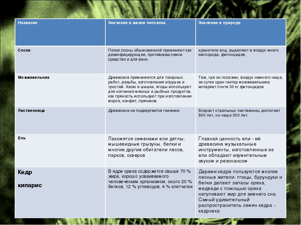 Таблица название растения. Значение сосны в природе и жизни человека. Значение хвойных в природе и для человека. Хозяйственное значение растений. Сосна обыкновенная значение в природе и жизни человека.