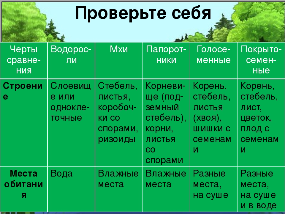 Разнообразие растений. Многообразие растений таблица 6 класс биология. Многообразие растений и их значение в природе. Разнообразие растений таблица 5 класс. Разнообразие растений и их значение.