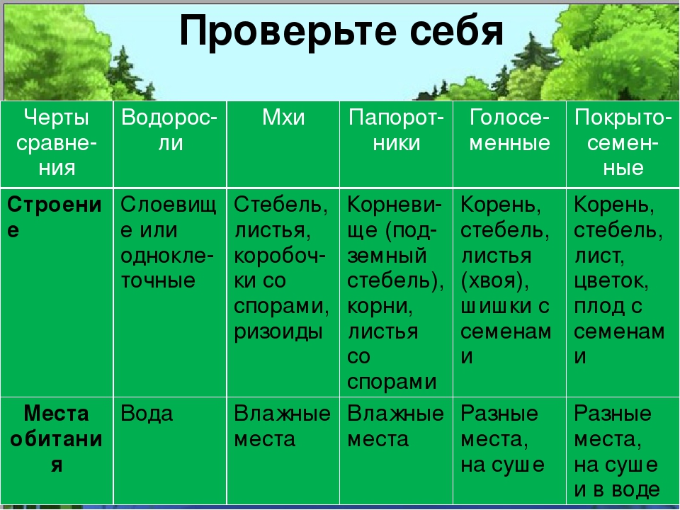 Многообразие растений 7 класс. Многообразие растений таблица 6 класс биология. Многообразие растений и их значение в природе. Разнообразие растений таблица 5 класс. Разнообразие растений и их значение.