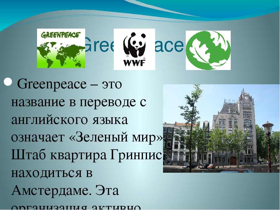 Охрана природы 4 класс. Проекты Гринпис в России. Штаб квартира Гринпис. Проект на тему Гринпис. Гринпис защита природы.