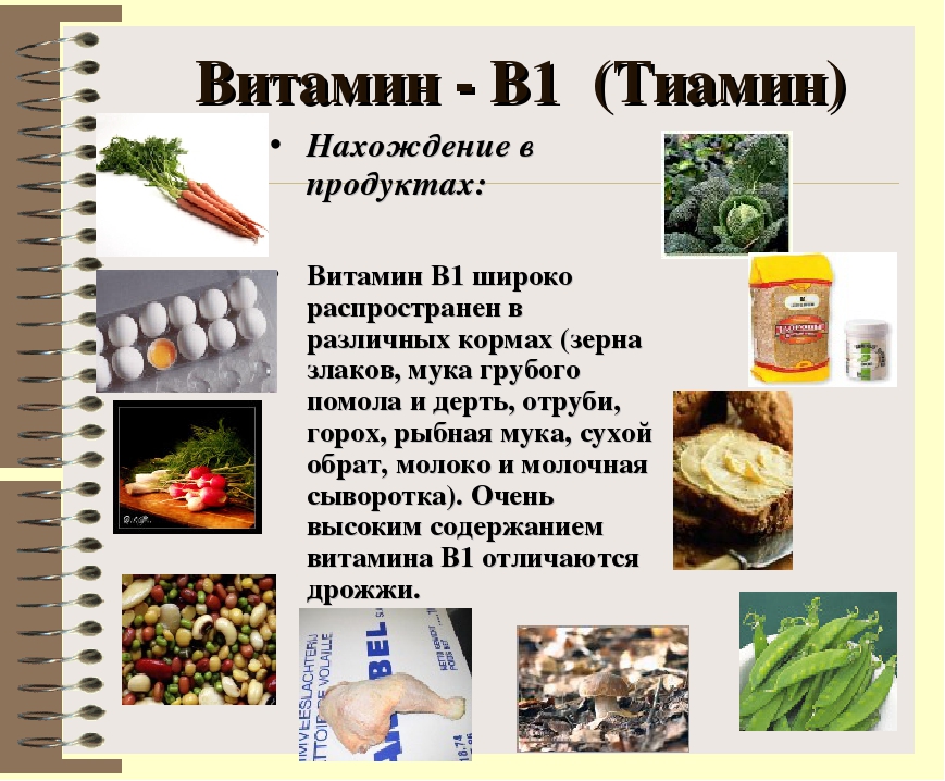 Какие витамины b есть. Витамин b1 тиамин источники. Продукты богатые витамином b1 таблица. Тиамин витамин в1 источники продукты. Продукт являющийся источником витамина в1.