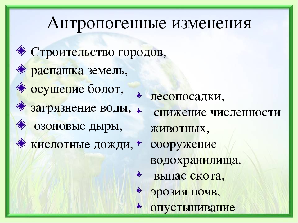 Какие последствия изменения. Антропогенные изменения. Антропогенные изменения в природе это. Антропогенные изменения в экосистемах. Антропогенные изменения примеры.