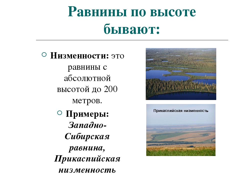 Равнина имеющая наибольшую высоту. Равнины низменности. Равнины по высоте бывают. Высота равнин. Западно-Сибирская низменность высота.