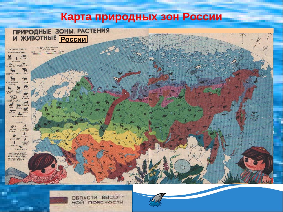 Название карты природы. Природные зоны. Мировая карта природных зон. Природные зоны Российской Федерации. Зоны в окружающем мире.