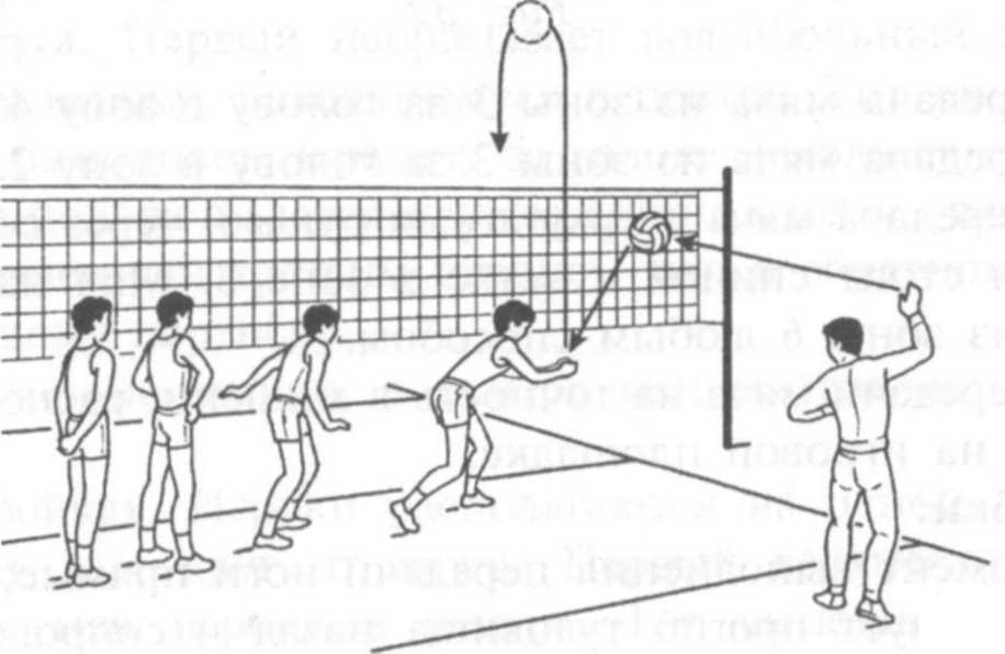 Приём передачи мяча от сетки в волейболе. Приём мяча отражённого сеткой в волейболе. Бросок снизу в волейболе через сетку. Передача мяча в парах через сетку волейбол.