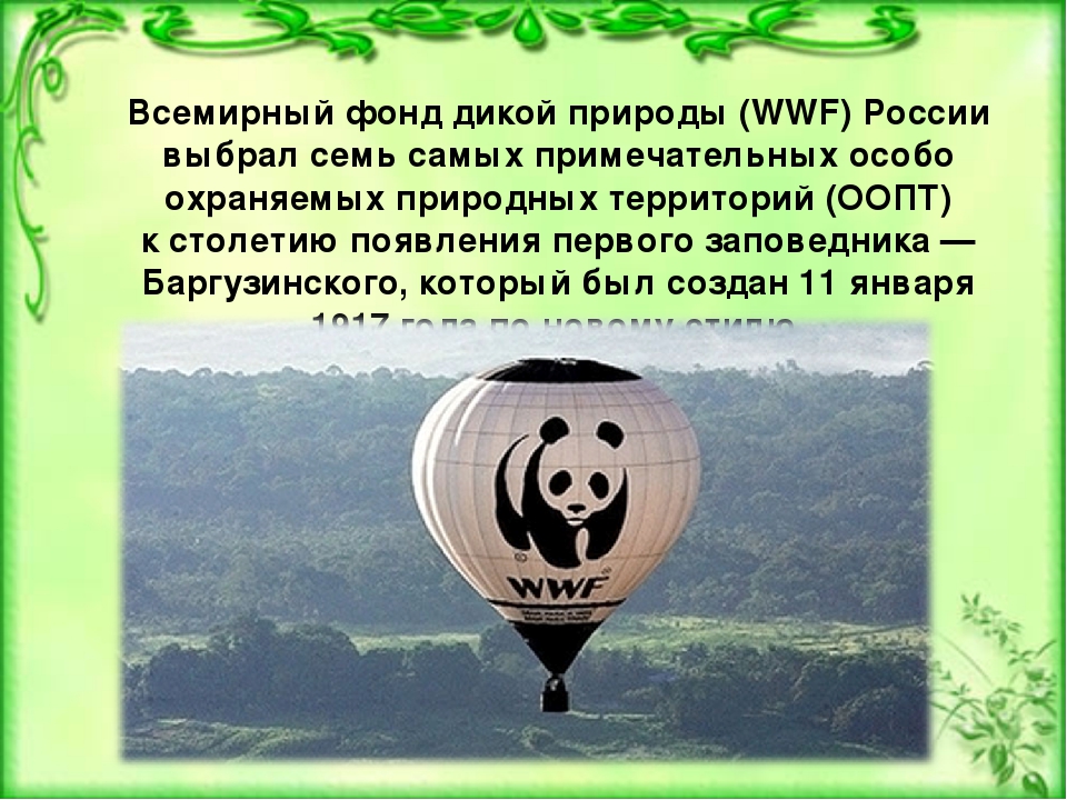 Отчет день дикой природы. Всемирный фонд дикой природы международные организации. Фонд дикой природы WWF В России. Деятельность Всемирного фонда дикой природы в России. Всемирный фонд защиты природы.