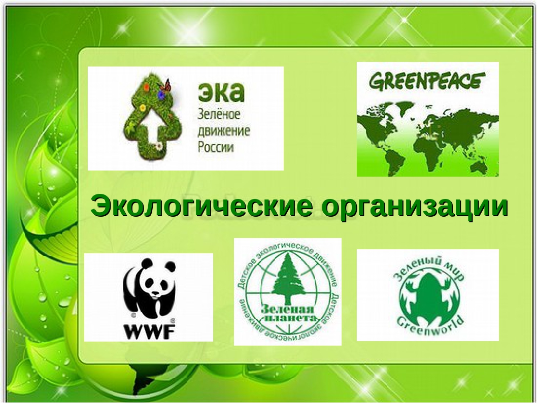 Некоммерческие экологические организации