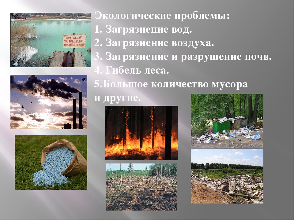 Проблемы земли в россии. Экологические проблемы. Проблемы экологии. Загрязнение воздуха экологическая проблема. Экологическая ситуация это.
