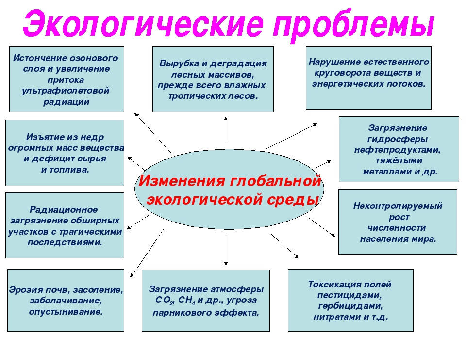 Экологические проблемы современности причины и возможные пути их решения презентация