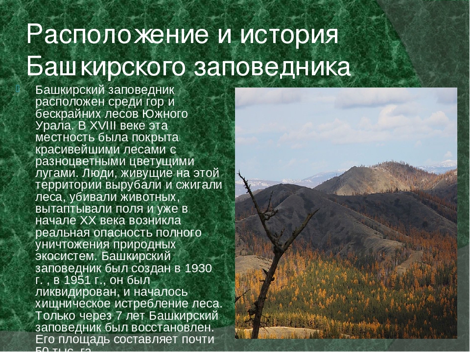 Краткое сообщение про заповедник. Башкирский Урал заповедник. 3 Заповедника Башкортостана. Заповедники Башкортостана рассказ. Заповедники презентация.