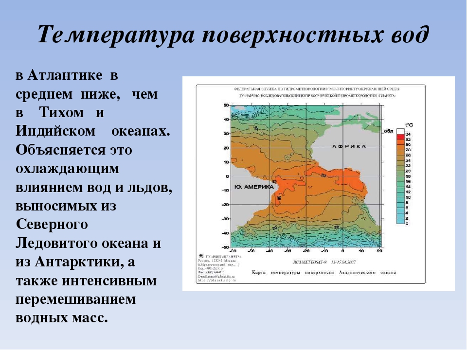 Кто осложняет картину распределения температур на поверхности океанов