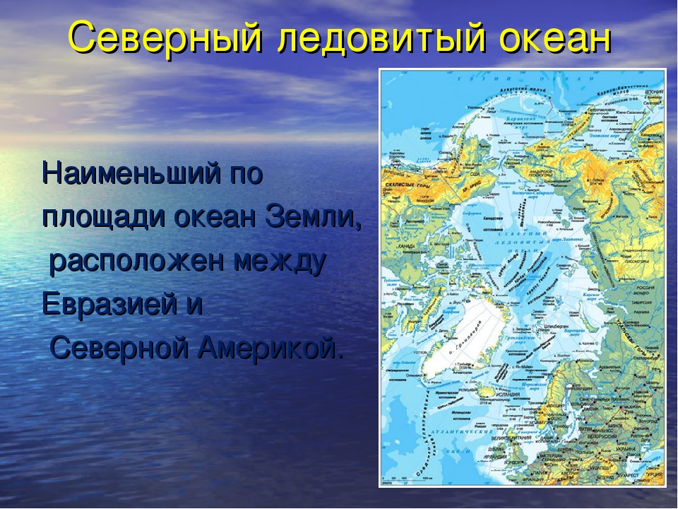 Омывается морями трех океанов