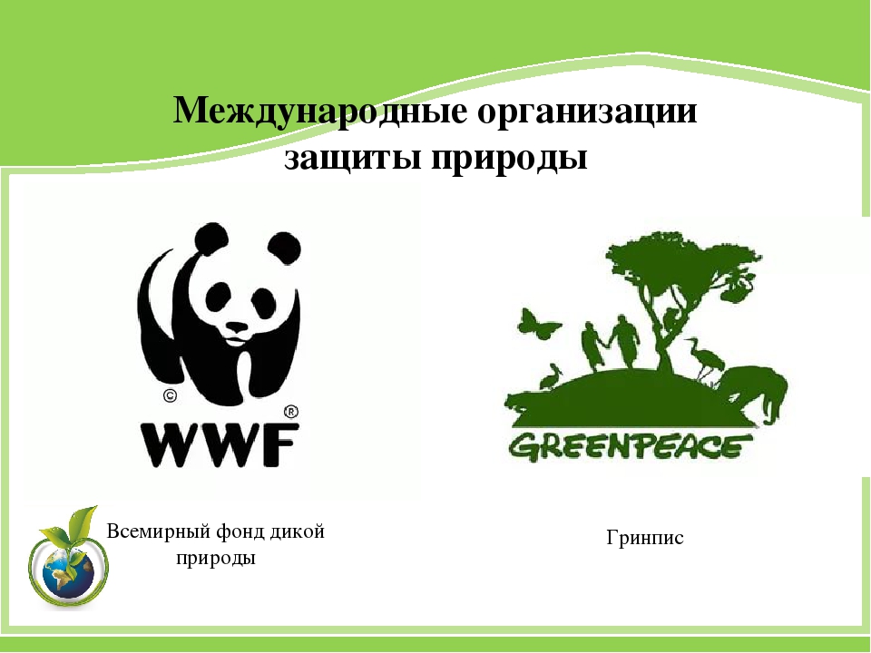 Wwf проекты в россии