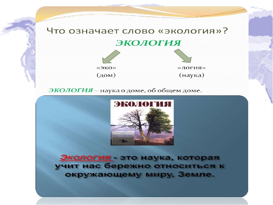 Экология слова. Что обозначает слово экология. Что означает термин экология. Что значит слово экология.