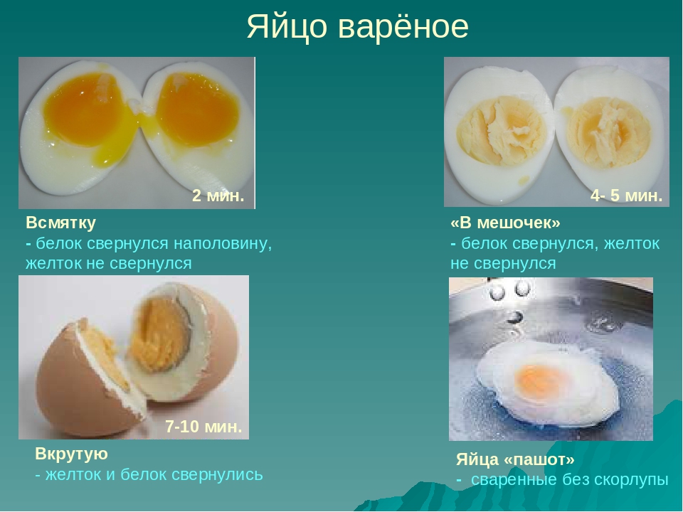 Почему мутные белки яиц. Виды вареных яиц. Вареное яйцо в разрезе. Яйцо всмятку без скорлупы. Желток яйца калорийность.