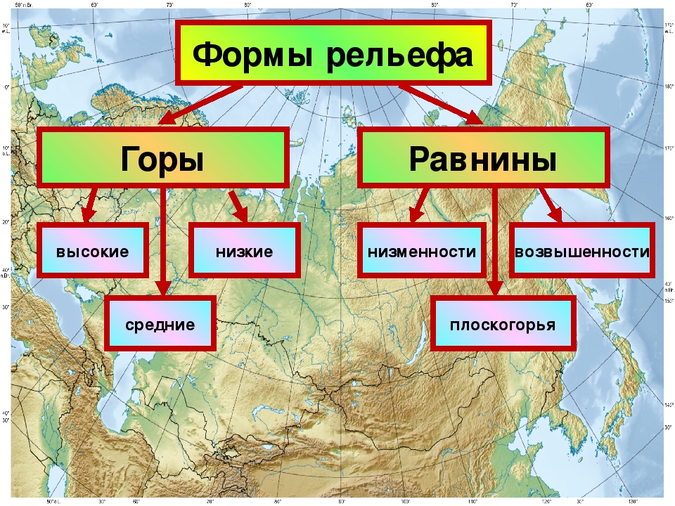 Карта равнин и плоскогорий и низменностей