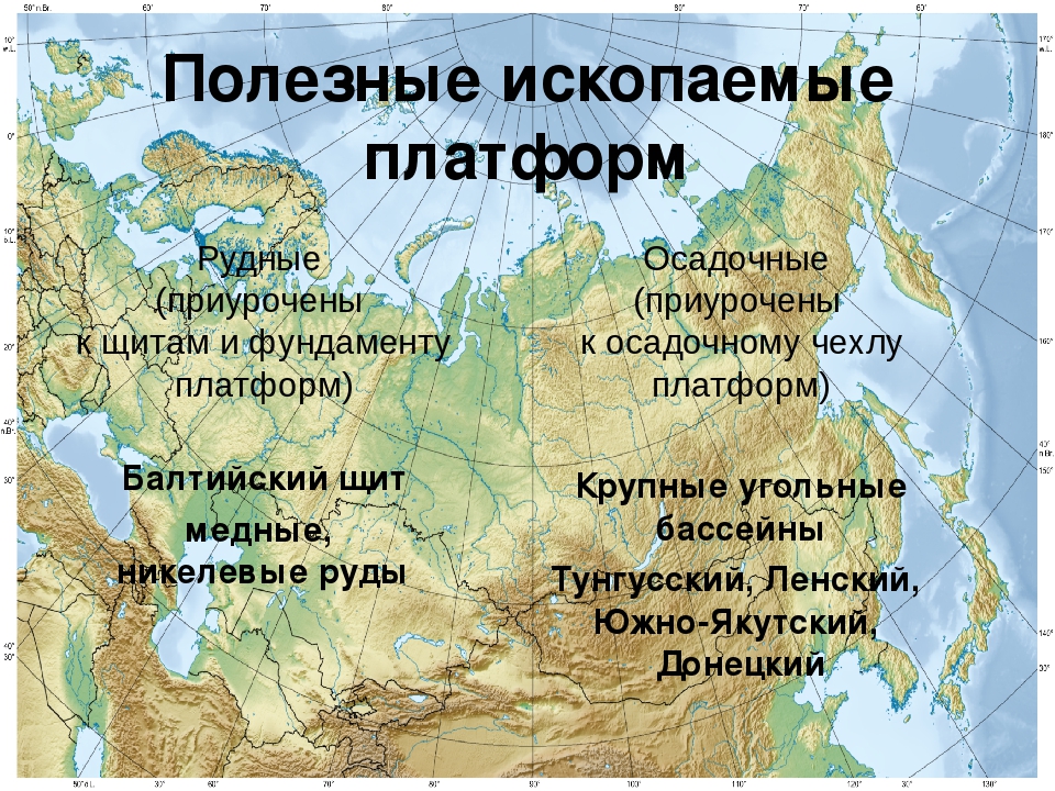 Особенности рельефа полезные ископаемые. Полезные ископаемые платформ. Полезные ископаемые платформ России. Рельеф и полезные ископаемые России. Балтийский щит форма рельефа.