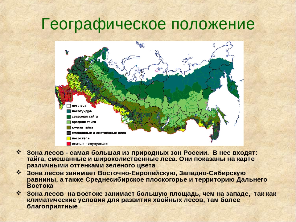 Почвы какой из перечисленных природных зон россии