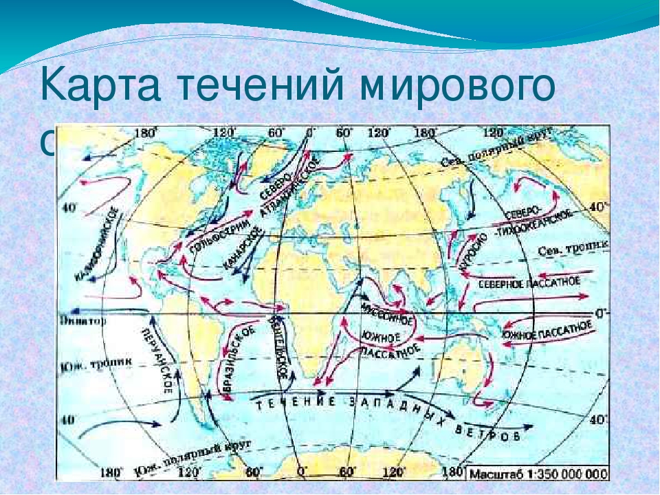 Карта течений 7 класс