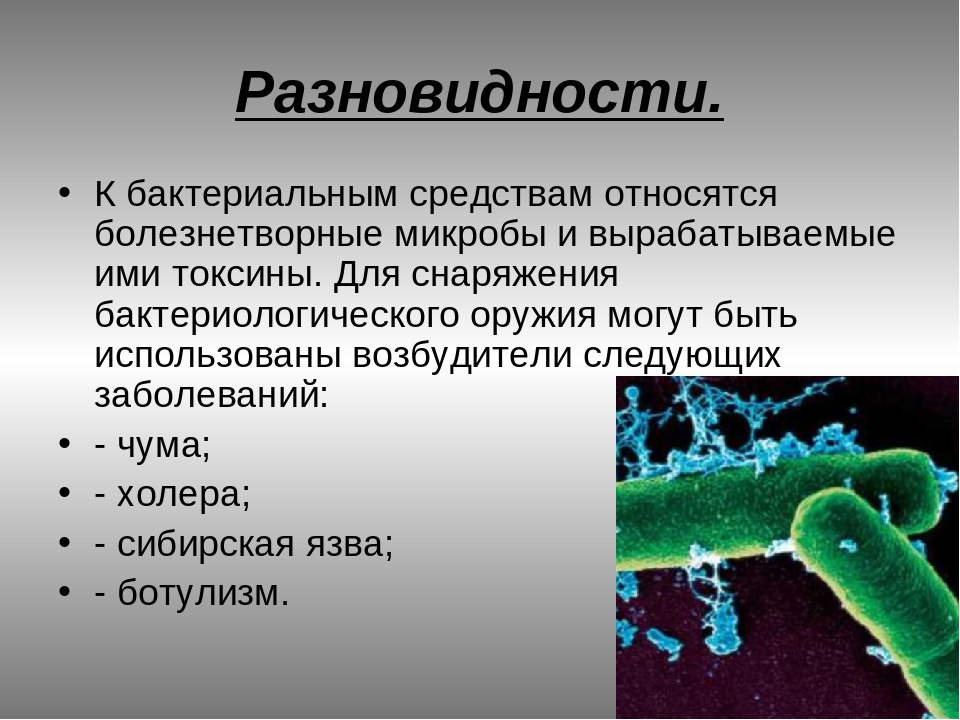 Три организма относящимся к бактериям. Болезнетворные микробы. К болезнетворным микробам относятся. Что относится к бактериям. Типы болезнетворных бактерий.