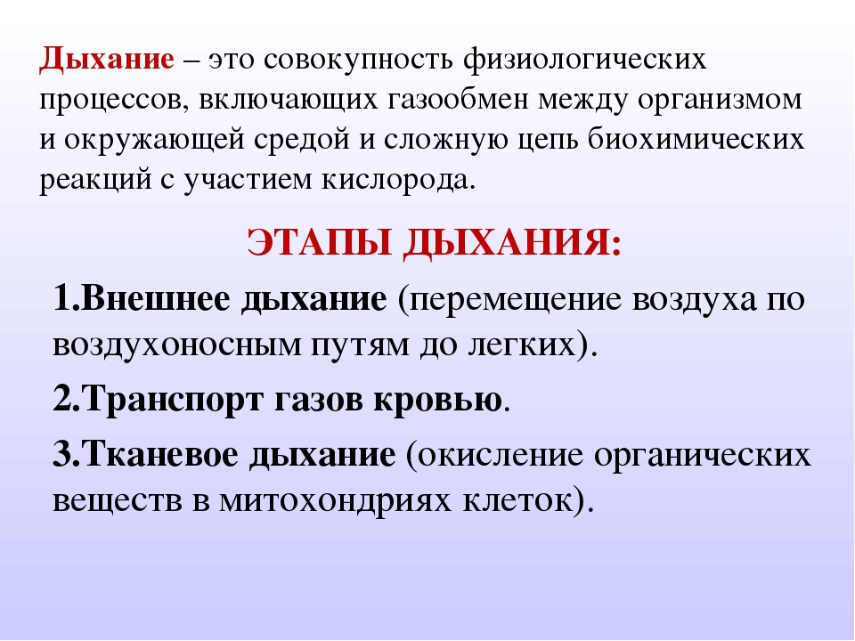 Дыхание в жизни организмов. Дыхание. Процесс дыхания. Дыхание это процесс чего. Дыхательный процесс.