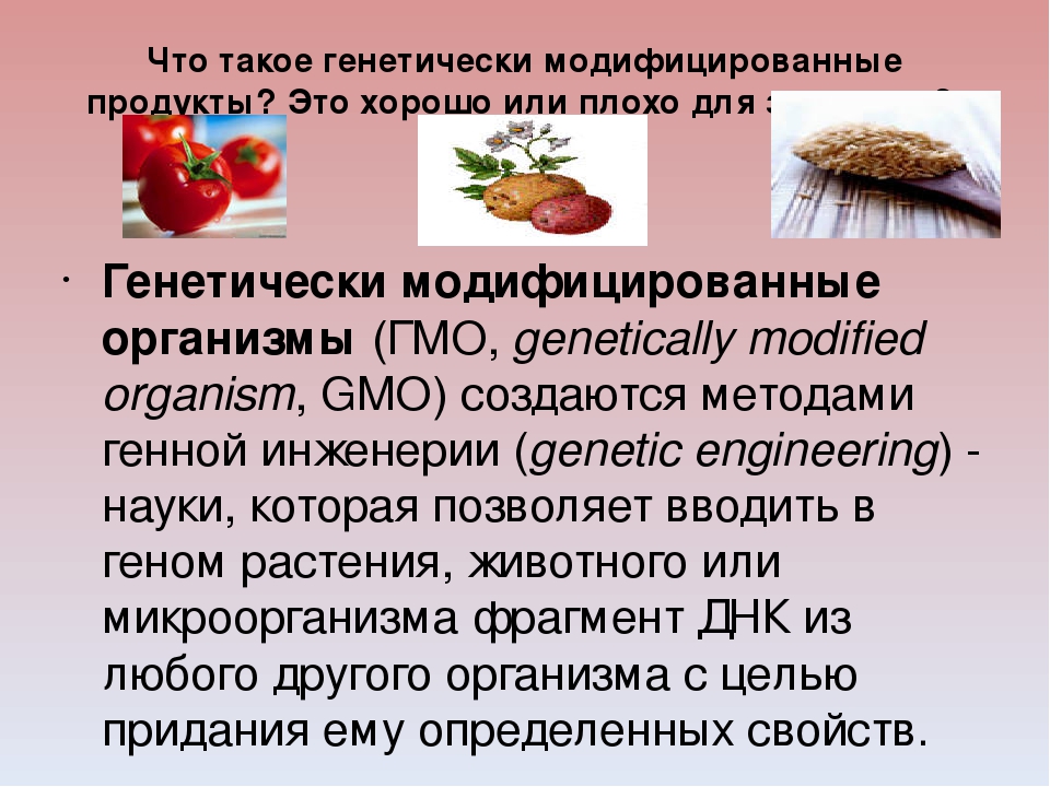 Исследовательский проект на тему гмо вред или польза