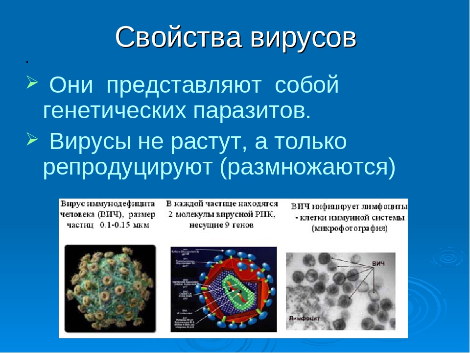 Вирусы названия 5 класс. Вирусы презентация. Вирусы биология. Вирусы по биологии. Характеристика вирусов.