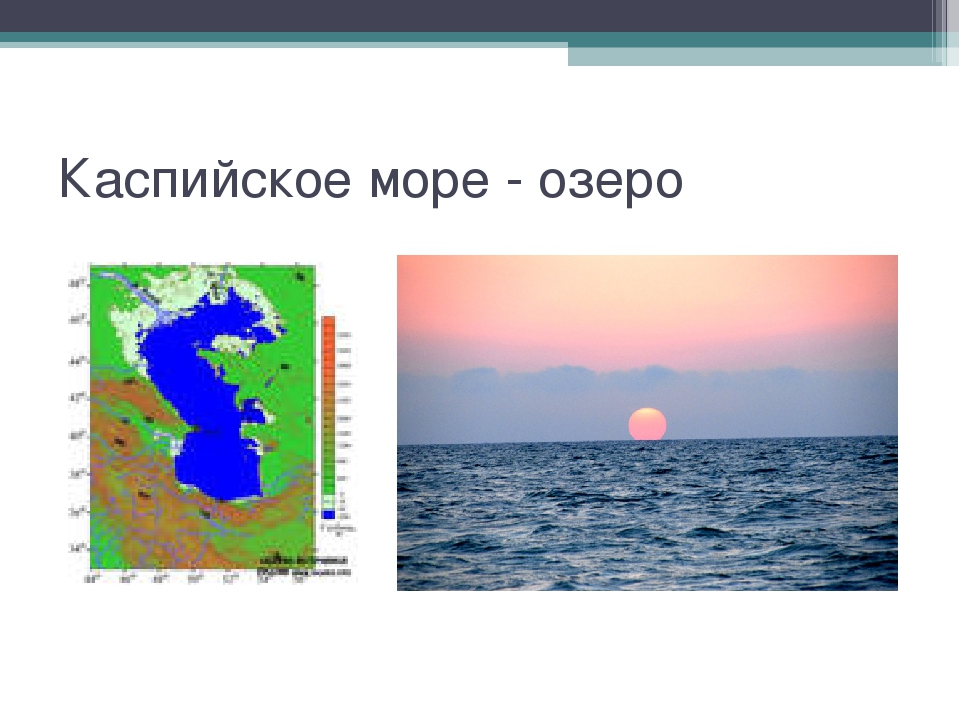 Почему каспийское море озеро. Каспийское море озеро на карте. Каспийское море озеро на карте мира. Каспийское море озеро на карте России. Где находится Каспийское море озеро.