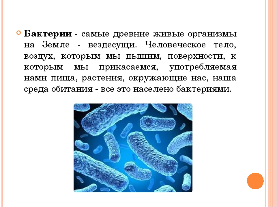 Реферат на тему организмы. Самые древние организмы бактерией на земле. Бактерии являются. Самые древние бактерии. Бактерии древнейшие организмы на земле.