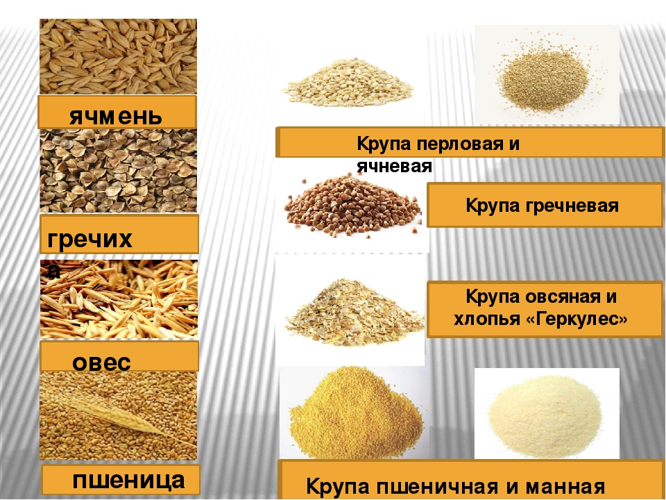 Нераскрытые тайны чем опасны крупяные каши