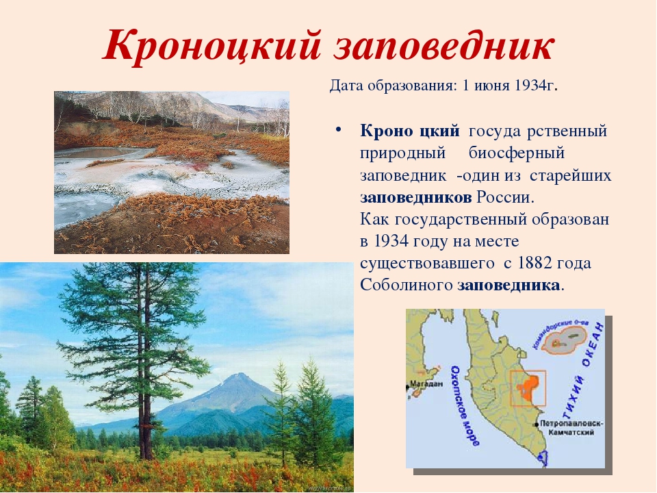 Сообщение про заповедник кратко. Рассказ о заповеднике России. Заповедники России доклад. Сведения заповедника. Кроноцкий заповедник России.