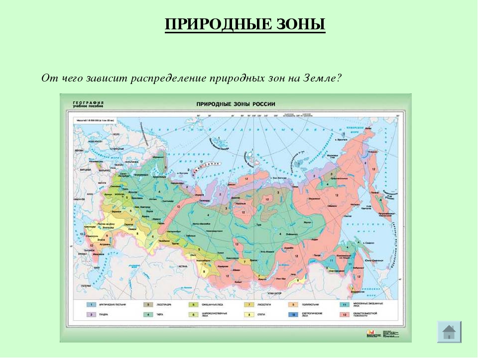 Сопоставьте карту природных зон россии. Карта природных зон. Карта природных зон Росси. Природные зоны России на карте с названиями. Обозначение природных зон на карте.