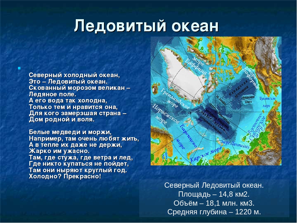 Жизнь в океане доклад 6 класс география. Факты о Северном Ледовитом океане. Рассказ о Северном Ледовитом океане. Презентация по Северному Ледовитому океану. Северный Ледовитый океан информация.