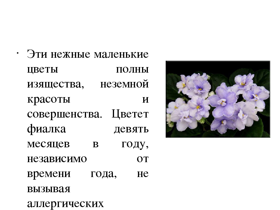 Фиалка описание. Формула цветка фиалки. Формула цветка фиалки комнатной. Формула цветка сенполии. Формула фиалки комнатной.