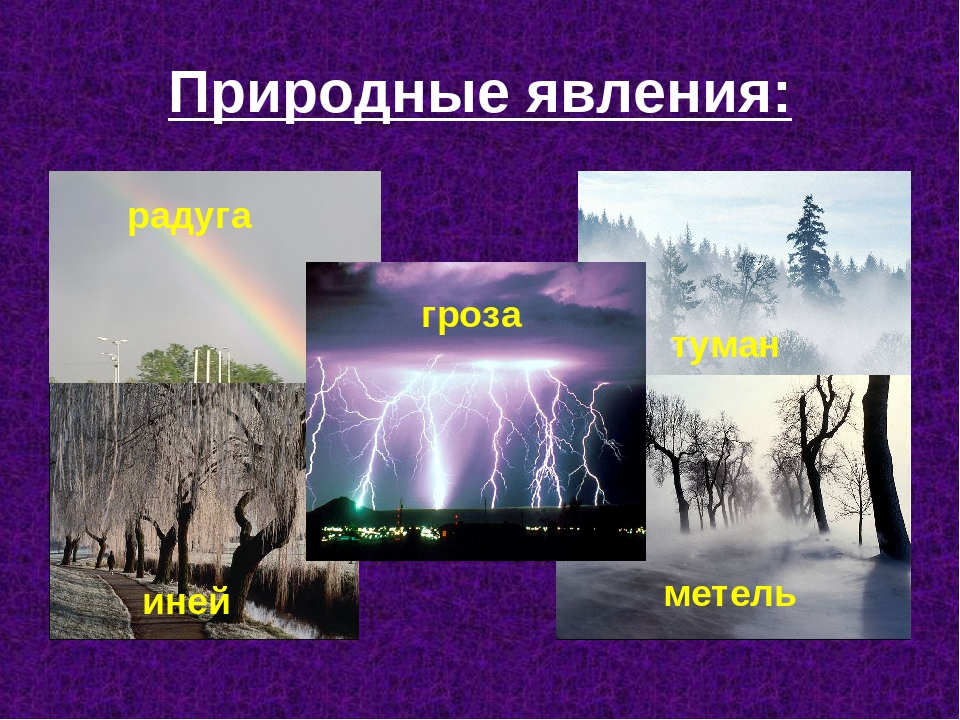 Явление природы окружающий мир 2. Проект явления природы. Названия природных явлений. Назови явления природы. Назвать все явления природы.