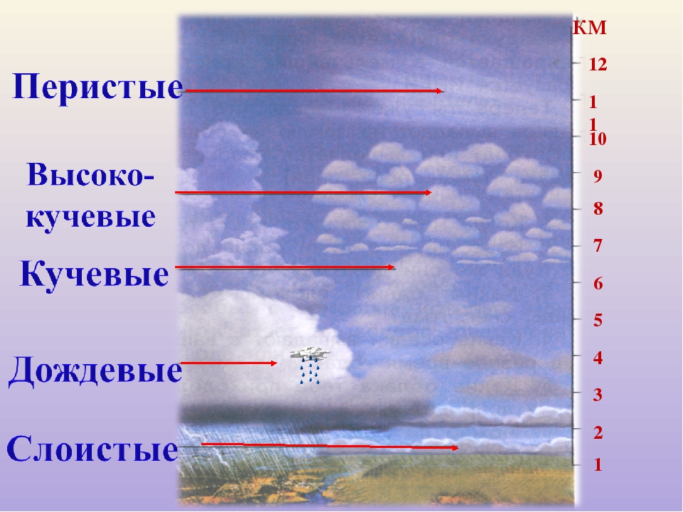 Схема облаков. Перистые Кучевые и Слоистые. Кучевые облака высота. Типы облаков перистые Кучевые Слоистые. Облака и осадки.