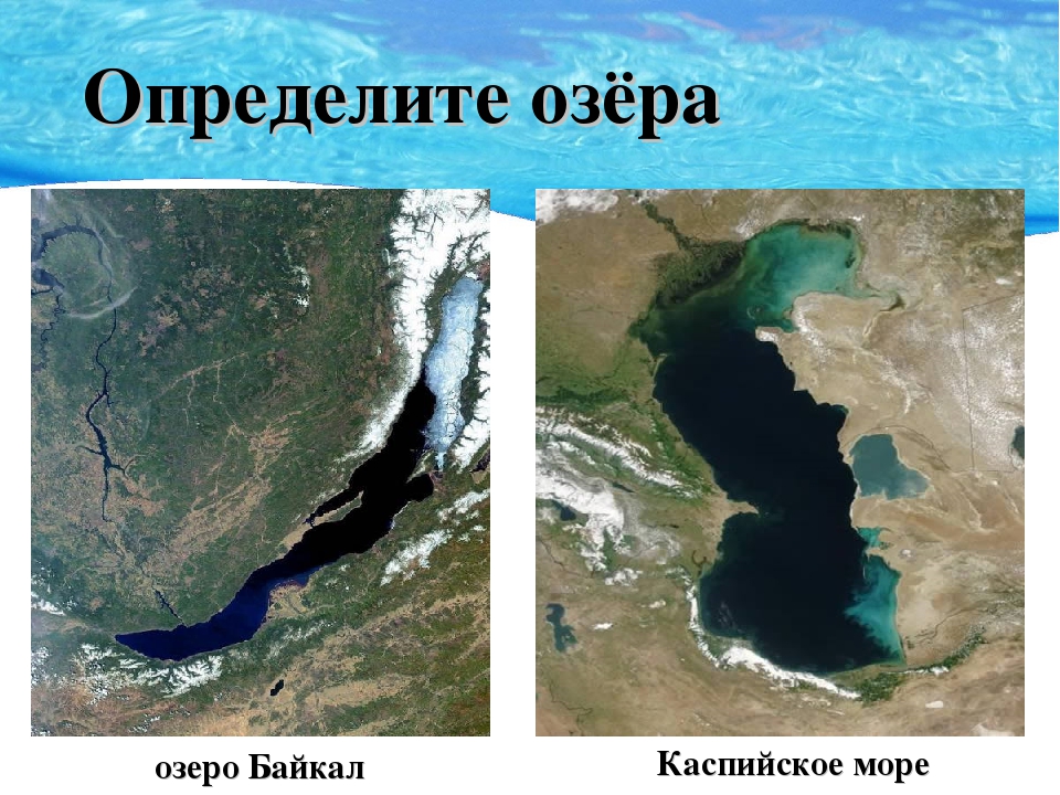 Определите озера. Каспийское море и Байкал. Озера : Байкал , Каспийское , Аральское. Каспийское море озеро. Самое большое озеро.