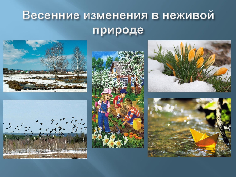 Сезонные изменения в живой. Весенипя явления в неживой природе. Весенние изменения в природе. Изменения в неживой природе весной. Весенние явления природы.