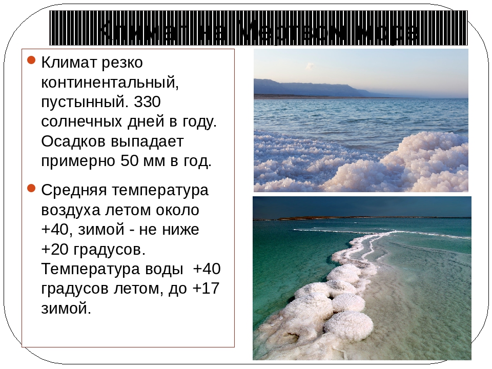 Какая температура в черном море. Температура белого моря. Температура воды белого моря летом и зимой. Средняя температура белого моря летом. Чёрное море температура воды летом и зимой.