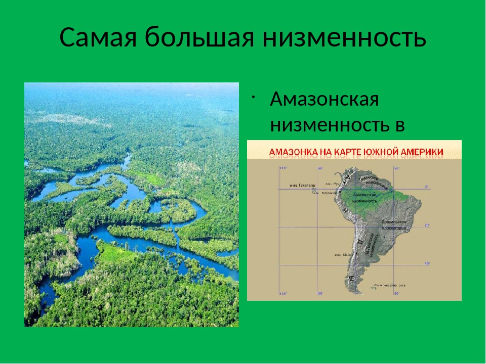 Площади низменность. Ла-Платская и Оринокская низменности. Амазонская низменность самая большая равнина. Амазонская низменность Тип по высоте. Крупнейшая низменность в мире на карте.