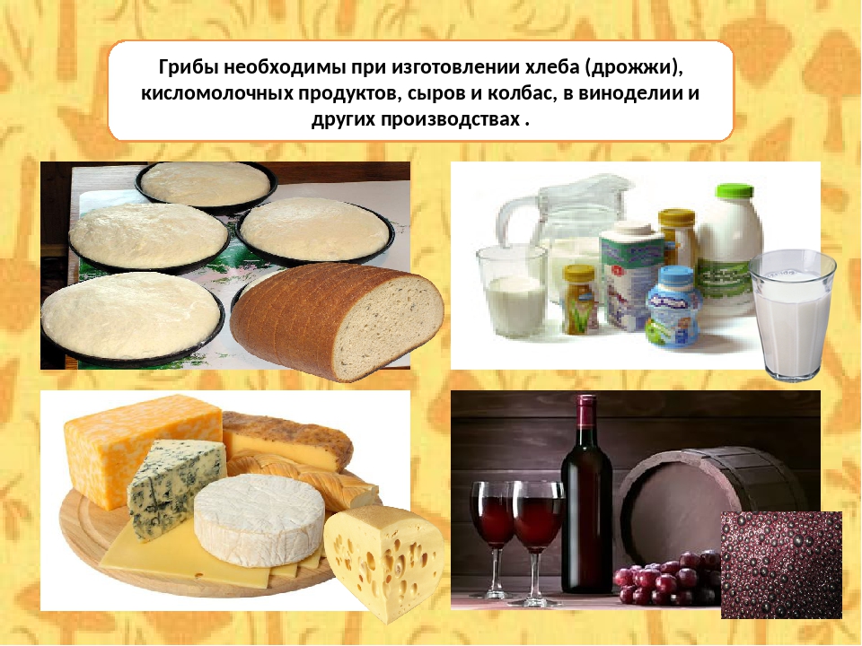 Это продукция получаемая в результате. Гриб для производства хлеба. Дрожжей используют в производстве. Молочнокислые бактерии в пищевой промышленности. Гриб который используют для производства хлеба.