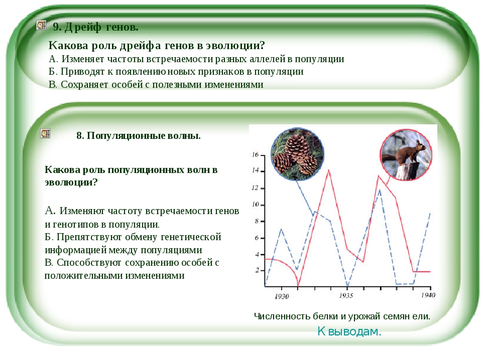 Дрейф генов схема