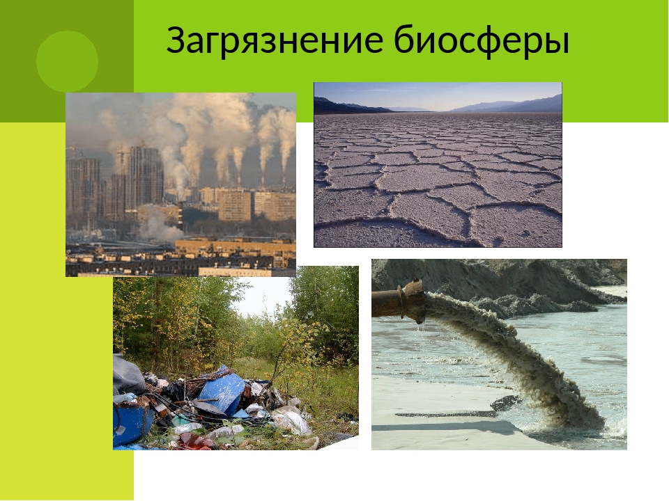 Глобальные нарушения в биосфере. Загрязнение биосферы. Экологические загрязнения биосферы. Последствия загрязнения биосферы. Экологические проблемы загрязнение.