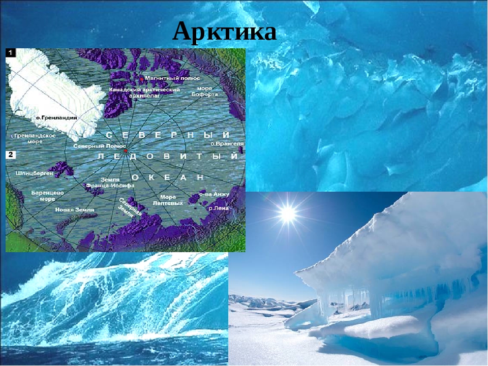 Холодные районы. Северный Ледовитый океан и Антарктида. Северный Ледовитый океан холодный район земли. Холодные районы Антарктида и Арктика. Северно Ледовитый океан и Антарктида окружающий мир.