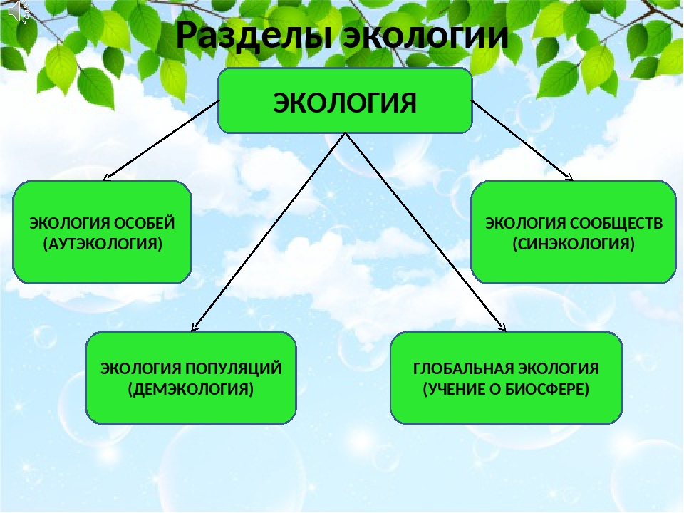 Разделом экологии является